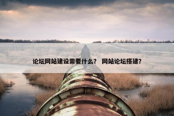 论坛网站建设需要什么？ 网站论坛搭建？