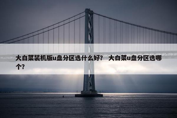 大白菜装机版u盘分区选什么好？ 大白菜u盘分区选哪个？