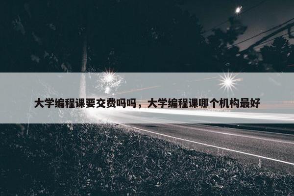大学编程课要交费吗吗，大学编程课哪个机构最好