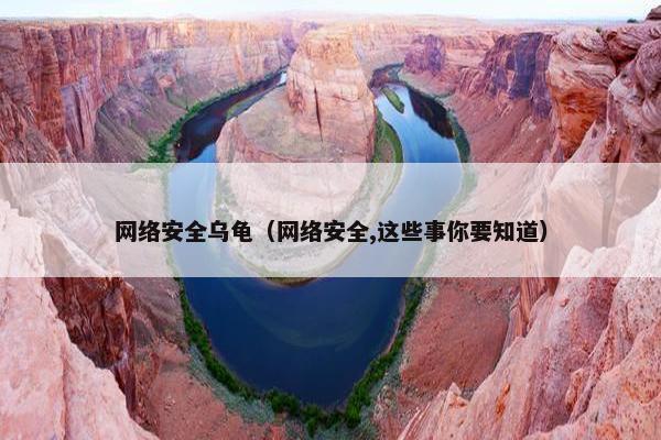 网络安全乌龟（网络安全,这些事你要知道）