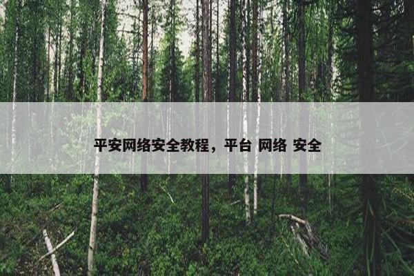平安网络安全教程，平台 网络 安全