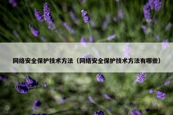 网络安全保护技术方法（网络安全保护技术方法有哪些）