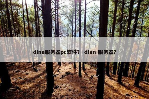 dlna服务器pc软件？ dlan 服务器？
