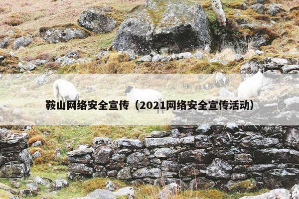 鞍山网络安全宣传（2021网络安全宣传活动）