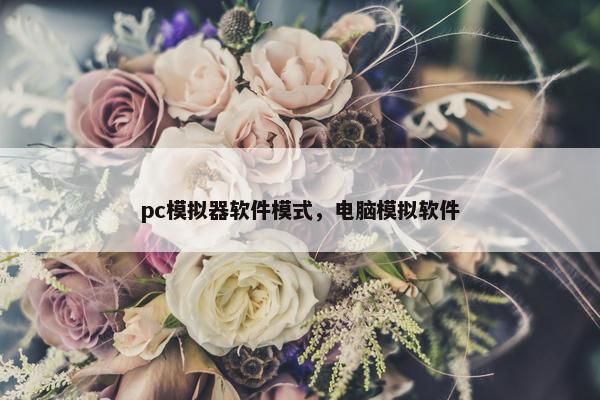pc模拟器软件模式，电脑模拟软件