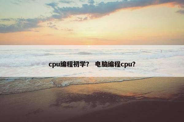 cpu编程初学？ 电脑编程cpu？
