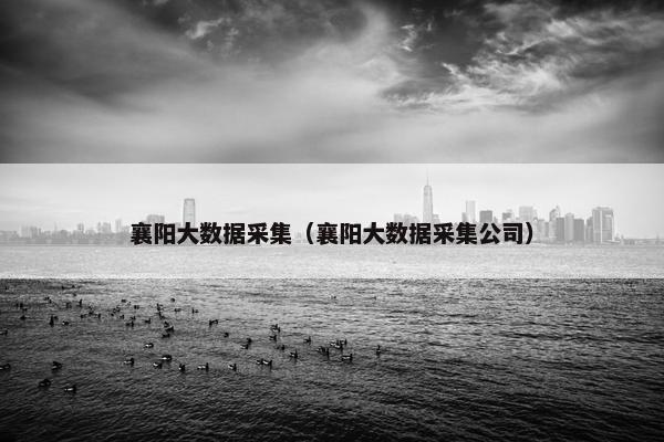 襄阳大数据采集（襄阳大数据采集公司）