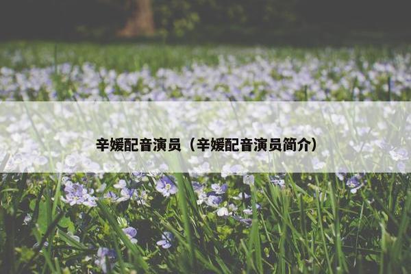 辛媛配音演员（辛媛配音演员简介）