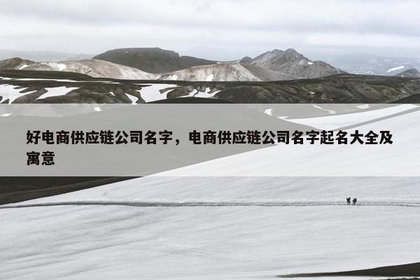 好电商供应链公司名字，电商供应链公司名字起名大全及寓意