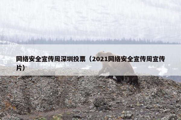 网络安全宣传周深圳投票（2021网络安全宣传周宣传片）