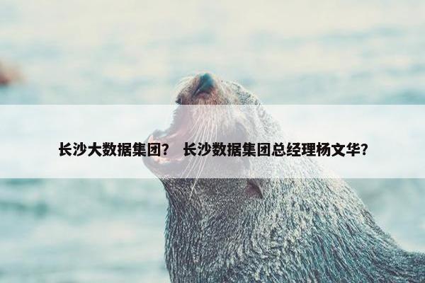 长沙大数据集团？ 长沙数据集团总经理杨文华？