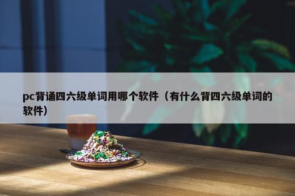 pc背诵四六级单词用哪个软件（有什么背四六级单词的软件）