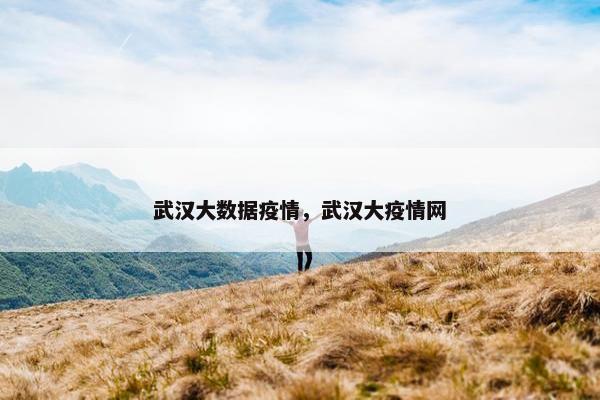 武汉大数据疫情，武汉大疫情网