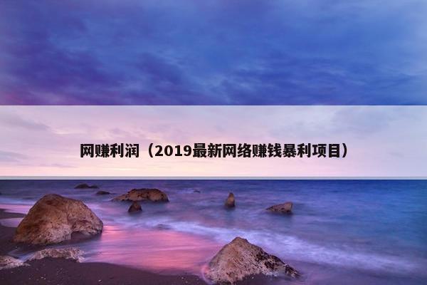 网赚利润（2019最新网络赚钱暴利项目）