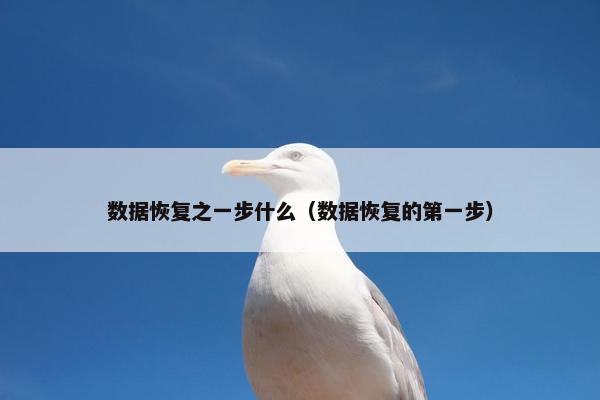 数据恢复之一步什么（数据恢复的第一步）