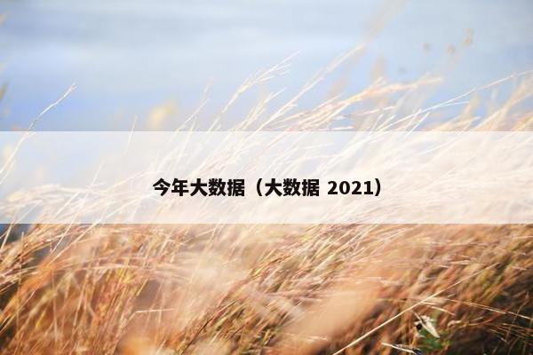 今年大数据（大数据 2021）