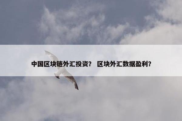 中国区块链外汇投资？ 区块外汇数据盈利？