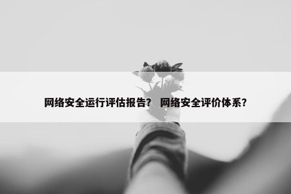 网络安全运行评估报告？ 网络安全评价体系？