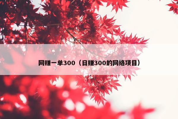 网赚一单300（日赚300的网络项目）