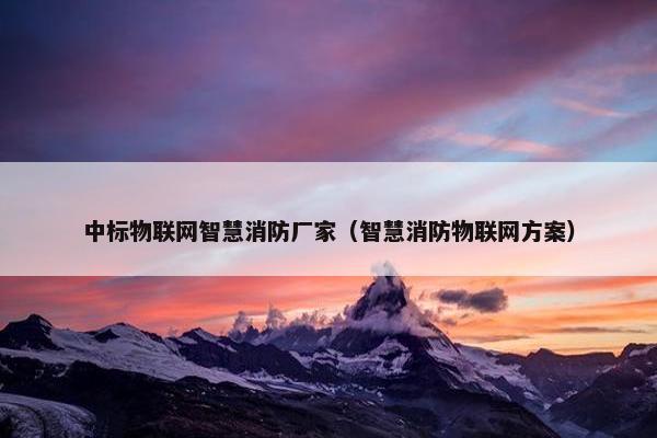 中标物联网智慧消防厂家（智慧消防物联网方案）