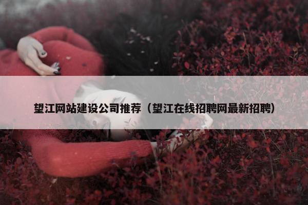 望江网站建设公司推荐（望江在线招聘网最新招聘）