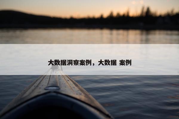 大数据洞察案例，大数据 案例