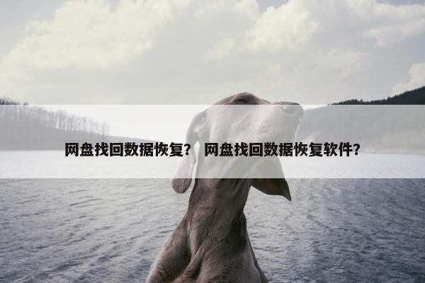 网盘找回数据恢复？ 网盘找回数据恢复软件？