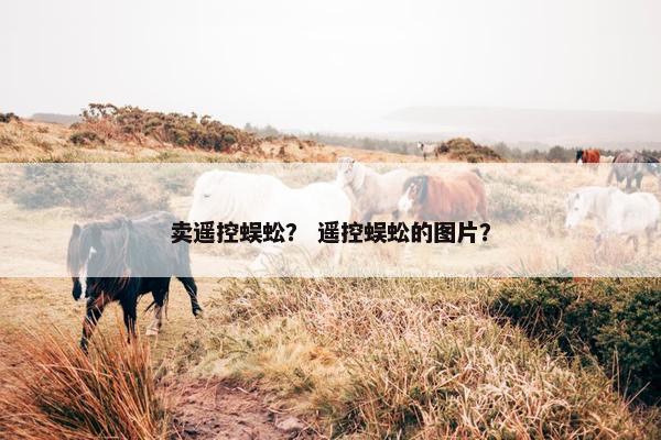 卖遥控蜈蚣？ 遥控蜈蚣的图片？