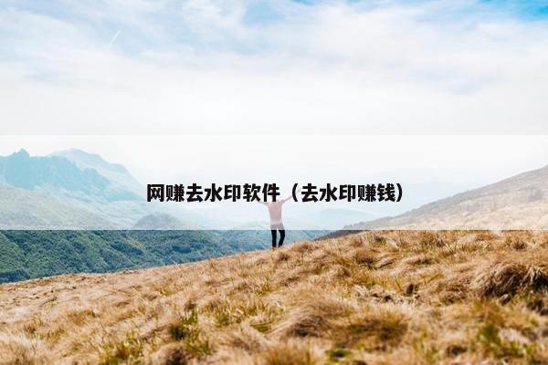 网赚去水印软件（去水印赚钱）