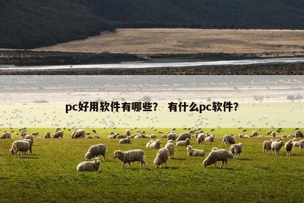 pc好用软件有哪些？ 有什么pc软件？