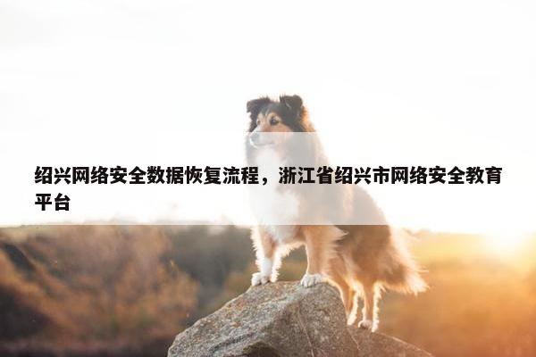 绍兴网络安全数据恢复流程，浙江省绍兴市网络安全教育平台