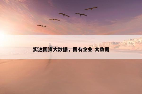 实达国资大数据，国有企业 大数据