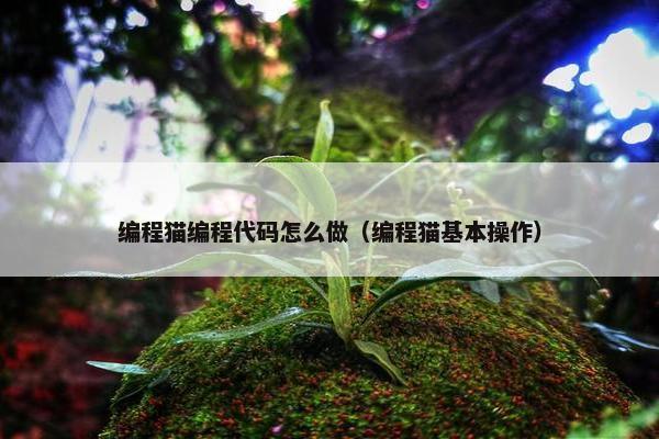 编程猫编程代码怎么做（编程猫基本操作）