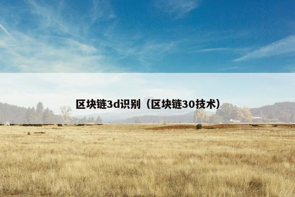 区块链3d识别（区块链30技术）