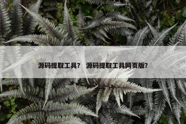 源码提取工具？ 源码提取工具网页版？