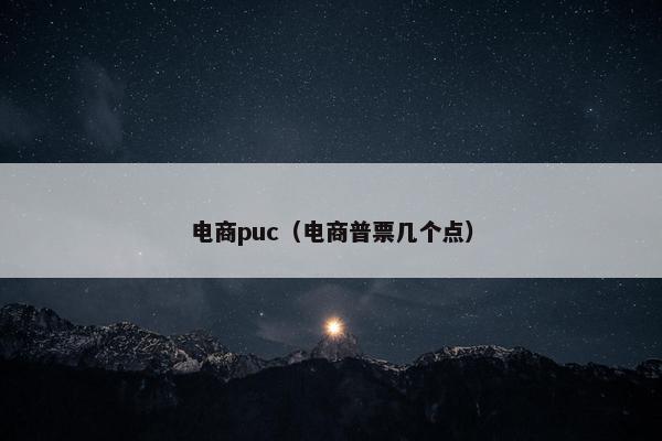 电商puc（电商普票几个点）