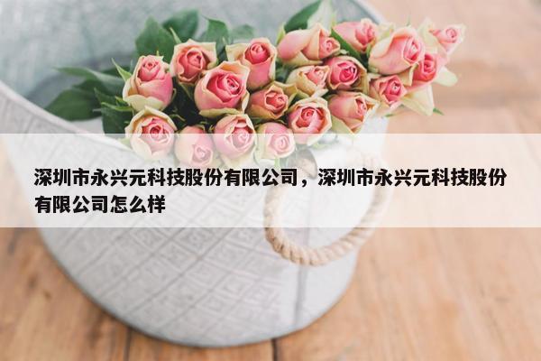 深圳市永兴元科技股份有限公司，深圳市永兴元科技股份有限公司怎么样