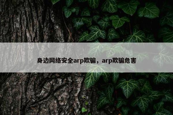 身边网络安全arp欺骗，arp欺骗危害