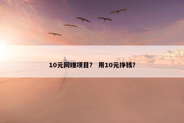 10元网赚项目？ 用10元挣钱？