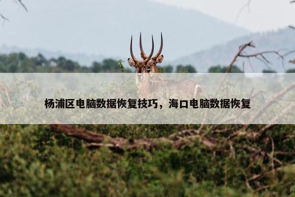 杨浦区电脑数据恢复技巧，海口电脑数据恢复