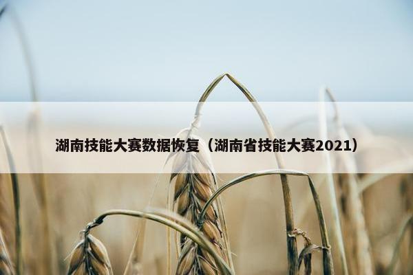 湖南技能大赛数据恢复（湖南省技能大赛2021）