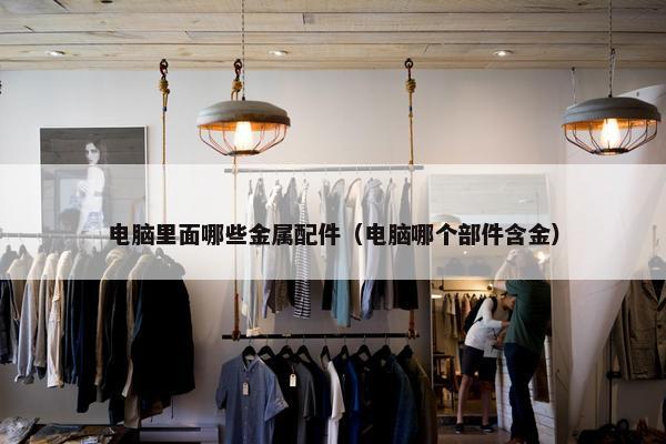 电脑里面哪些金属配件（电脑哪个部件含金）