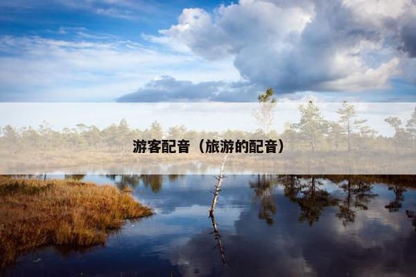 游客配音(旅游的配音)