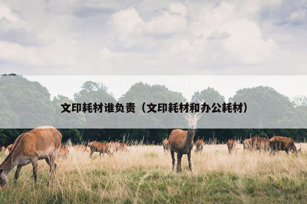 文印耗材谁负责（文印耗材和办公耗材）