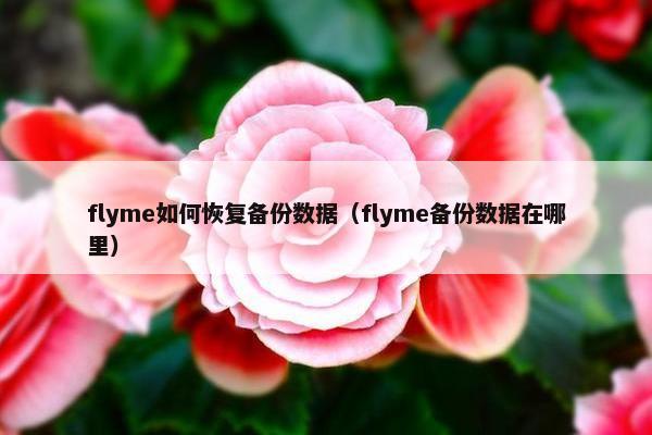flyme如何恢复备份数据(flyme备份数据在哪里)