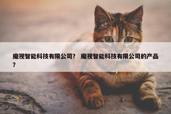 魔视智能科技有限公司? 魔视智能科技有限公司的产品? 魔视智能科技有限公司? 魔视智能科技有限公司的产品?