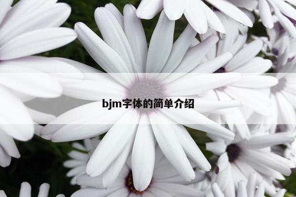 bjm字体的简单介绍 bjm字体的简单介绍