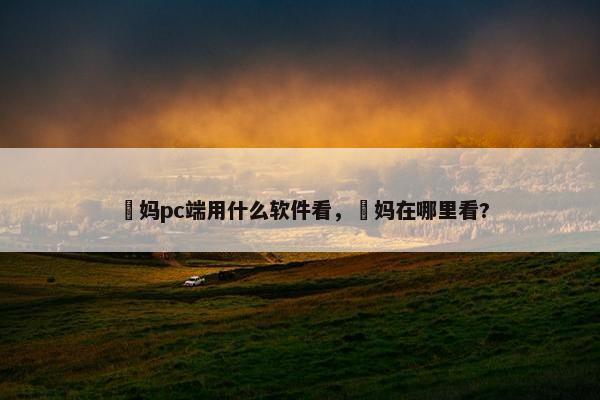 囧妈pc端用什么软件看，囧妈在哪里看?