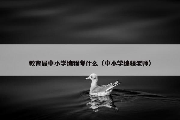 教育局中小学编程考什么（中小学编程老师）