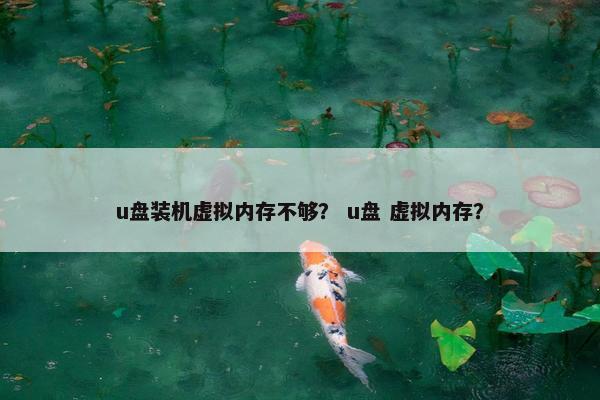 u盘装机虚拟内存不够? u盘 虚拟内存?